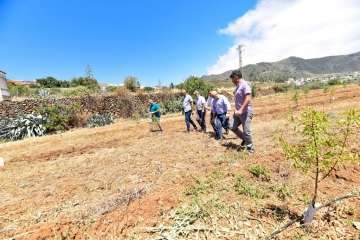 Plantación de 4.400 almendreros, nogales, higueras y olivos en Valsequillo (Foto TA)